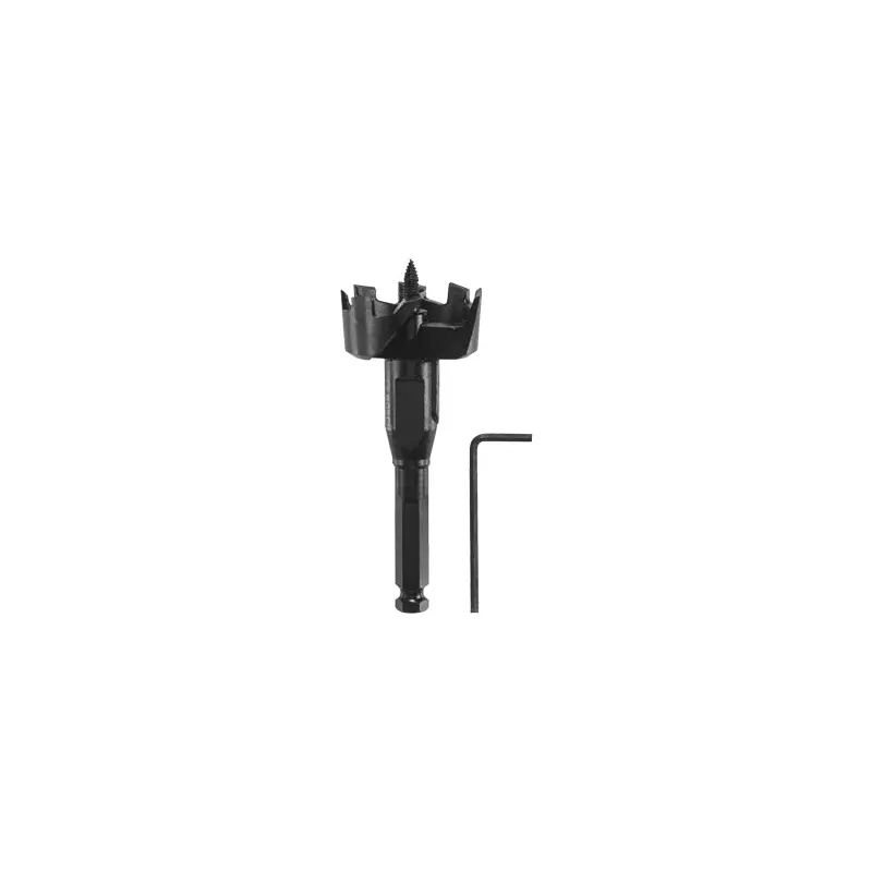 Bosch SF2001 2 In. Self-Feed Drill Bit