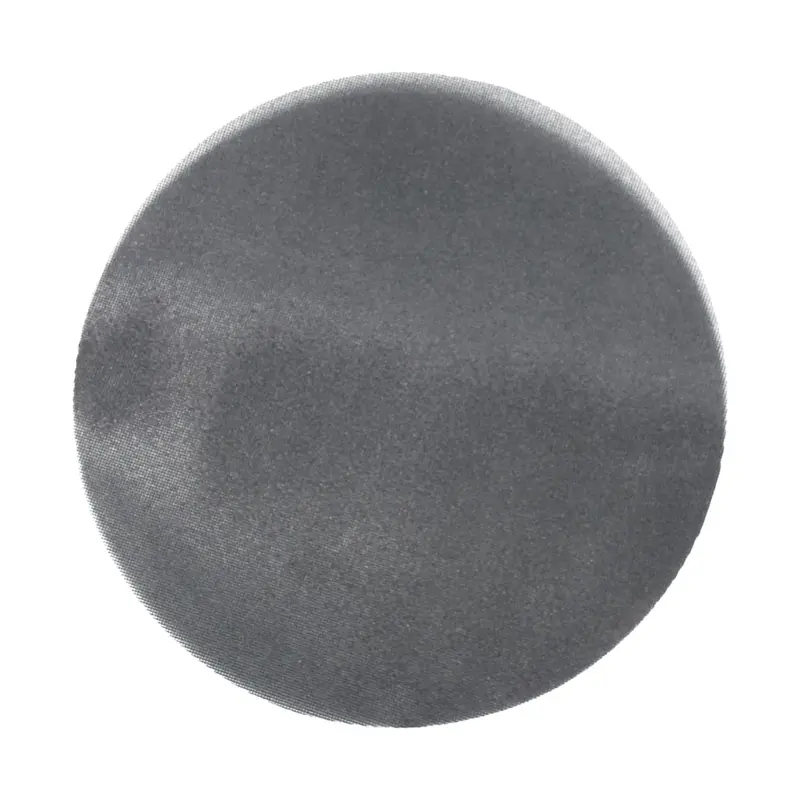 Avanti PCE170100E01G 17 in. 100 Grit Sanding Screen