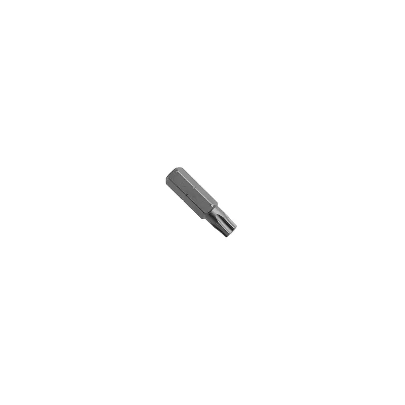 Apex #10 Torx Bit (440-TX-10X)