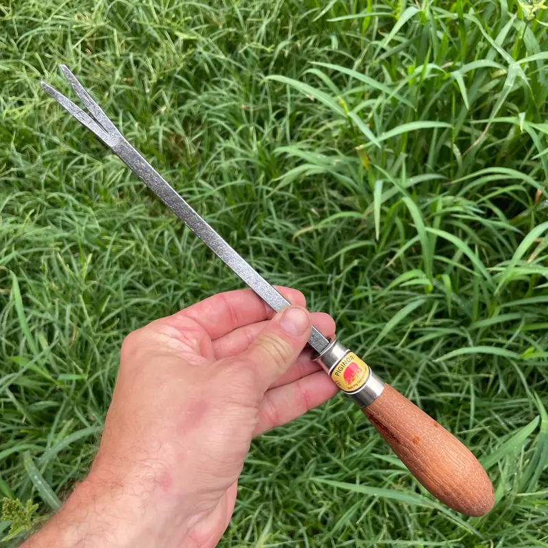 Piginor - Dandelion Weeder