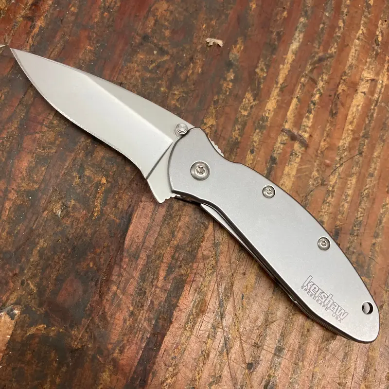 Kershaw Stainless Steel Scallion (KS1620FL)