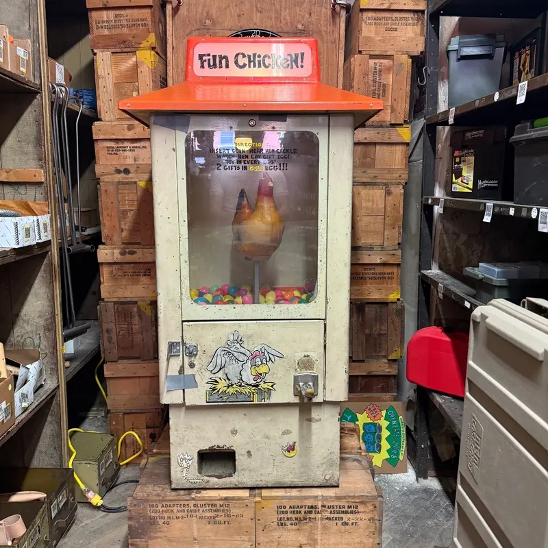 Fun Chicken Surprise