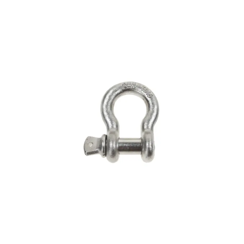 1/2" Stainless Steel Drop Forged Screw Pin Anchor Shackle - 1.5 Ton