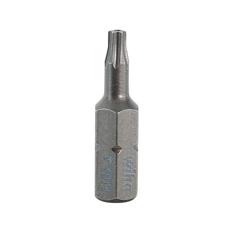 Security Torx Bit T10s - 25mm - 10 Pack